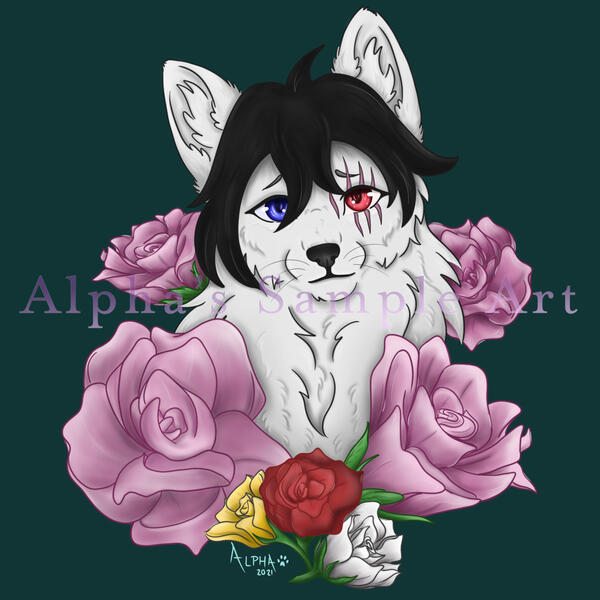 Icon Shaded, Rose Acc.