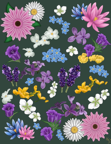 Flower Meaning Collage