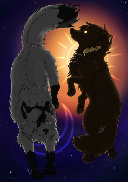 Fall &amp; Rise of the Moon &amp; Sun: Danielle &amp; Sam